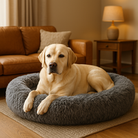 CloudBed - 🐾 Pawsu™