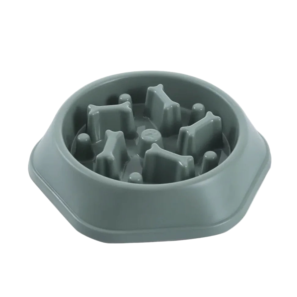 SlowBowl - 🐾 Pawsu™